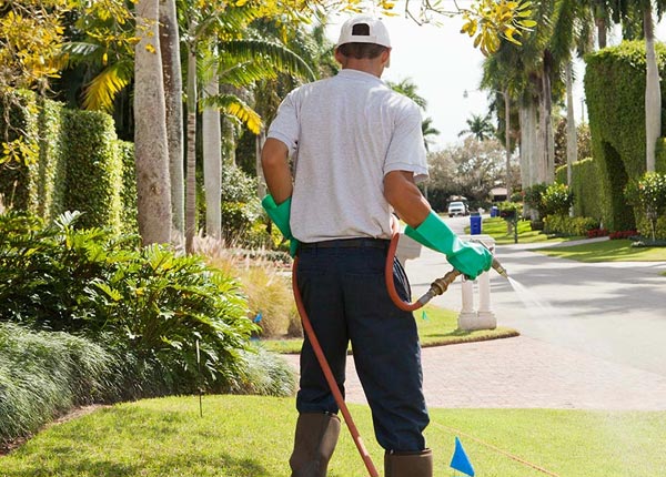 About Minisink Hills PA Pest Control